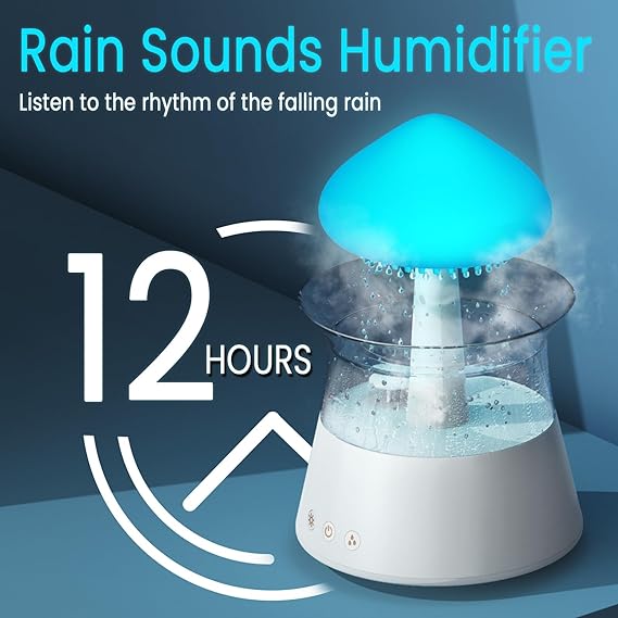 Rain Cloud Air Humidifier